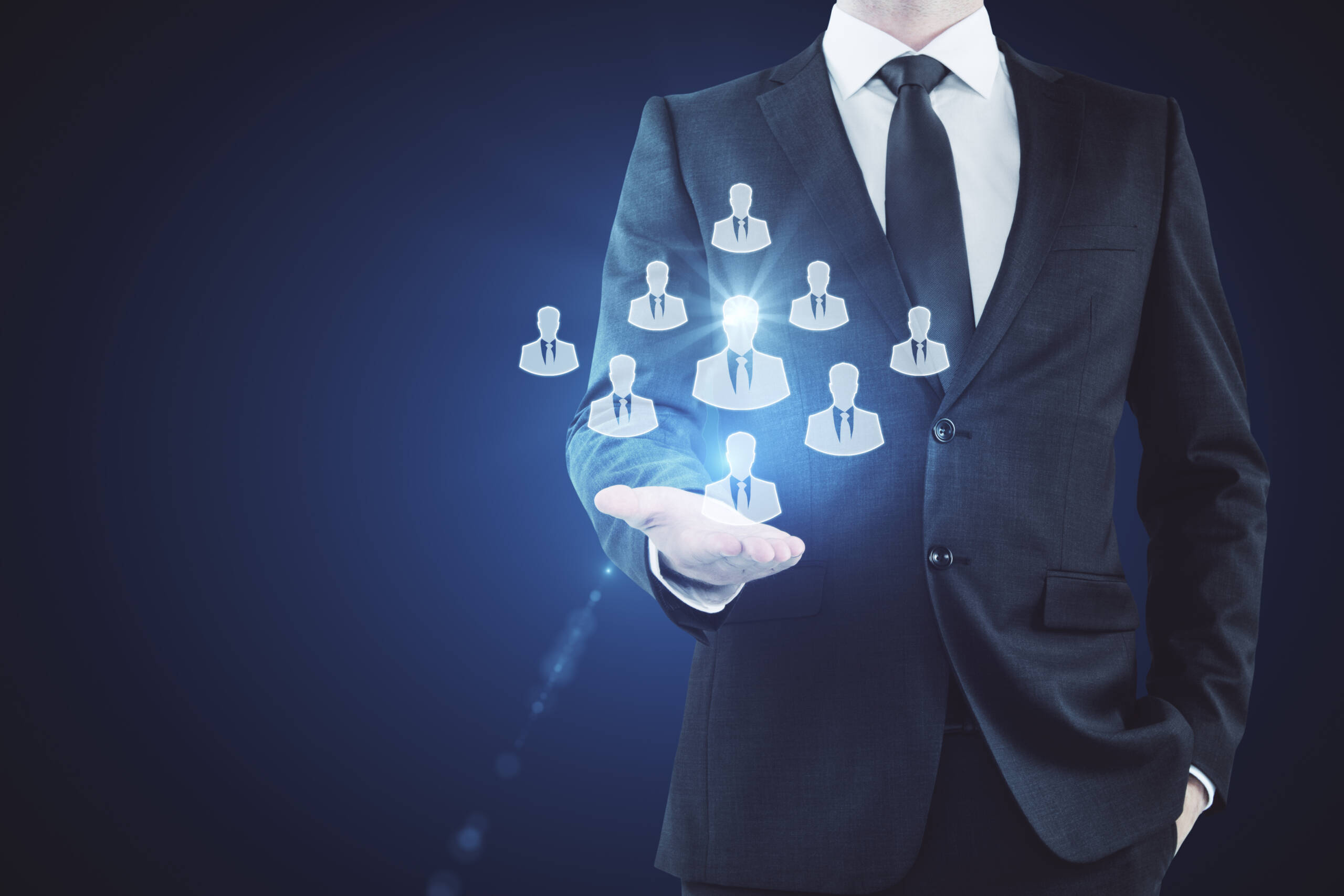 AI Strategy and Integration